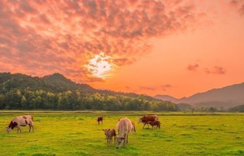 农村老人常说的4句老话，句句现实，听懂少走十年弯路