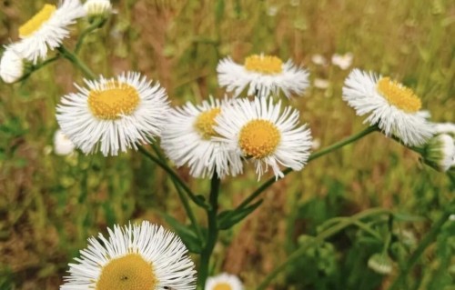 两性关系：年过70岁的男人，在老伴面前要收敛，这4件事别再做