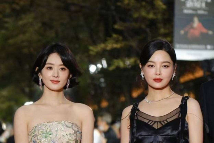  赵丽颖与辛芷蕾的演技差异，本质上源自各自的表演路径与创作追求。赵丽颖走的是广谱适配+生活扎根的路线，她的表演像一杯温润的茶，初尝平和，回味却满是生活的肌理，适配度高、共情力强，更符合大众对好演员的直观认知；辛芷蕾则偏向深度挖掘+张力释放，她的表演像烈酒，入口浓烈，后劲直击灵魂深处，擅长突破舒适区、挑战复杂角色，更契合专业领域对演技派的高阶要求。这种差异在两人合作的《乔妍的心事》中表现得淋漓尽致：赵丽颖的角色细腻内敛，辛芷蕾则以鲜明性格张力俘获观众。有人偏爱前者贴近生活的温暖演绎，也有人欣赏后者震撼心灵的爆发力，但这并非谁高谁低的评判，而是角色设定与演员风格自然契合的呈现。 值得一提的是，当辛芷蕾的《日挂中天》上映时，赵丽颖直接包了10场电影支持，杨幂也毫不示弱包了11场，这场包场较量既反映了85花之间微妙的关系，也体现了实力派演员之间的惺惺相惜。赵丽颖与辛芷蕾，就像华语影视圈的两棵大树：一棵枝繁叶茂，扎根于大众土壤，以《风吹半夏》《知否》等多元角色陪伴观众成长；另一棵深根细作，直抵艺术内核，以《日挂中天》《繁花》等作品拓展行业边界。前者的双料视后证明了国民认可度，后者的威尼斯影后彰显了国际专业度。在流量退潮、实力为王的时代，她们的共存正好印证了一个真理：女演员的价值从不由单一标准定义，无论是贴近生活的共情力，还是穿透灵魂的爆发力，只要真诚且专业，都能在影视长河中留下属于自己的独特印记。