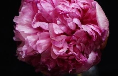 我发现一个规律：对父母越狠的人，后面越难顺