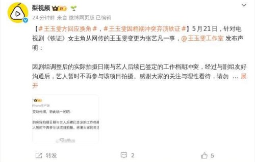 王玉雯工作室回应《铁证》换角:因档期冲突暂不参与拍摄