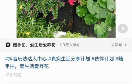 何大锤扮演者澄清剧情传闻称大家平安|展开说说|苗阜|电视剧剧情讨论|段子手|无稽之谈
