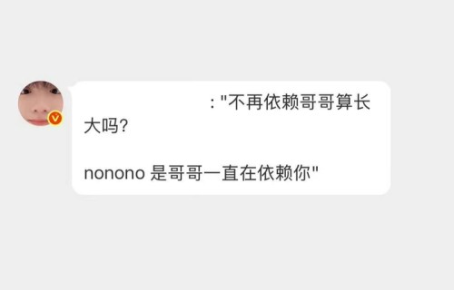 苏新皓520自动回复引热议