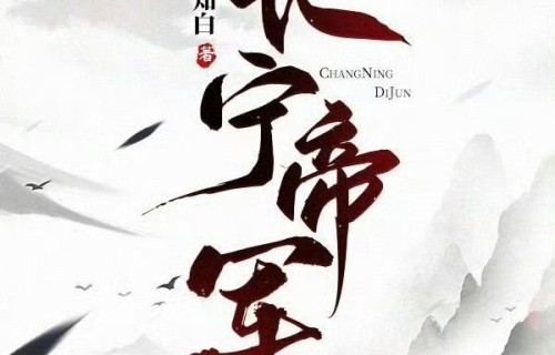 《长宁帝军》官宣，宋晓飞执导古装权谋大剧|垂类行业剧|重生之门|敦淇|以法之名|雪中悍刀行