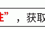 恩利和网红用吸管互饮太辣眼，伊能静霸气护儿子，大骂网友是老登 