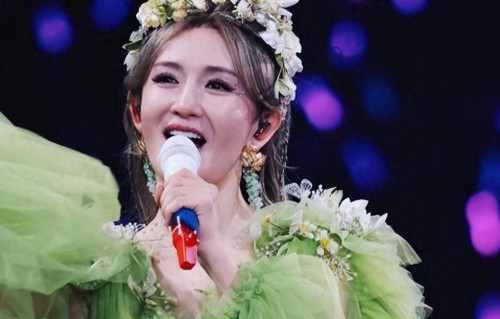 演唱会办成综艺！这一晚，谢娜扯下了内娱为数不多的体面