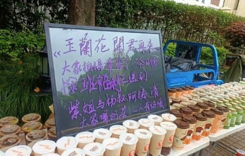 杨紫来到了董竹君的城市 角色沉浸式体验引发热议|玉兰花开君再来|粉丝|女儿|督军|应援