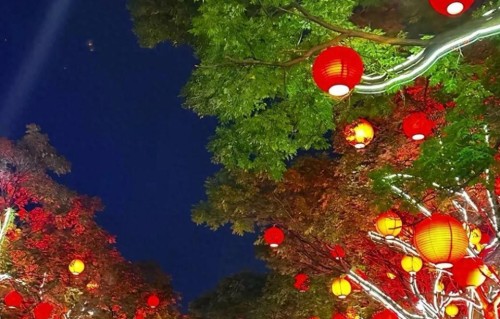 男人对断联后不纠缠的女人，想法就四个字