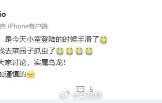 苗苗工作室回应！