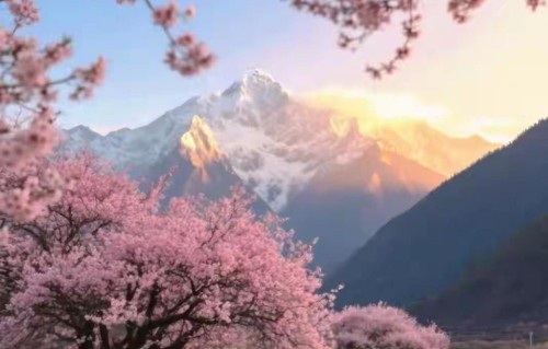 赶紧点开！ 你有救了，你的人生要开挂了