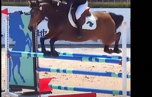 刘烨女儿马术赛场亮相，14岁霓娜技术纯熟，颜值在线！