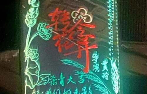 电影《转念花开》中，杨紫和张小斐分别饰演什么角色？