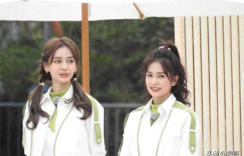 白鹿baby一姐之争愈演愈烈，粉丝互撕背后，藏综艺迭代的深层逻辑 