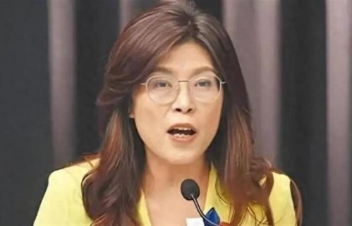 郑丽文身后女保镖意外出圈！藏蓝西装往那一站，眼神把全场钉死！