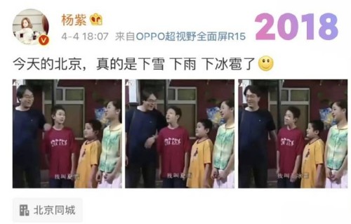 为什么说杨紫与张一山的友情是内娱罕见的清流，与其他明星CP有何不同？