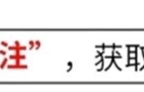 原来他们是父子，主角他是星二代，弟弟也是演员，一家人太像