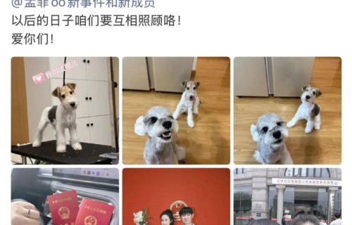 喜剧演员邓帅宣布结婚