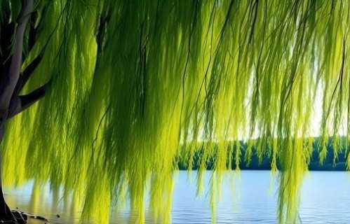 男人冷淡的背后，往往藏着这些真相：主动和在意从来藏不住