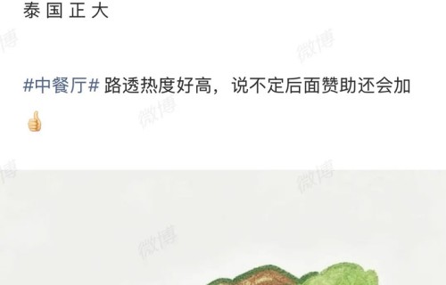 中餐厅10获八家赞助，王俊凯招商能力引关注|王俊凯综艺|张雅琪|中餐厅第十季|综艺招商|明星商业价值