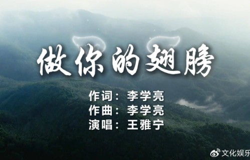 王雅宁携公益曲《做你的翅膀》 点亮老来潮敬老暖心之路