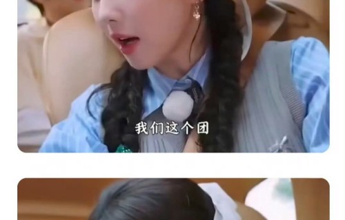 白鹿调侃郑恺李晨为燃系团魂