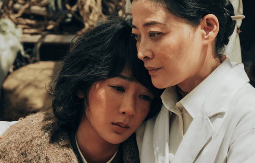 90花的较量，轮到了杨紫和白鹿？