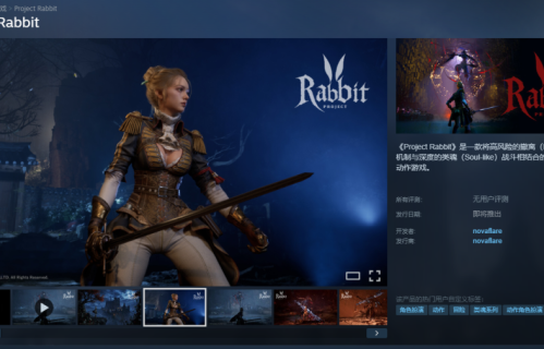 撤离+类魂+爱丽丝《Project Rabbit》上线Steam