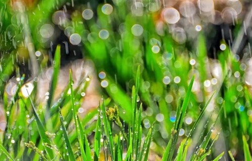 停止内耗才会幸福！研究揭秘：与自己和解，才是人生最高级的智慧