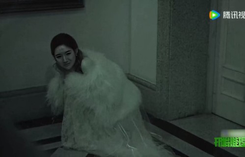 王玉雯开推4被吓哭|猫|小猫|可爱