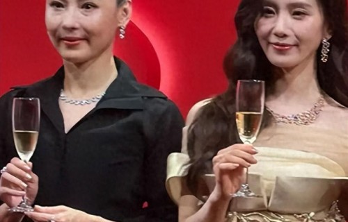 这一次，被嘲“要养5个老人”的刘诗诗，狠狠给自己争了口气|刘诗诗|吴奇隆|唐嫣|张柏芝|杨幂