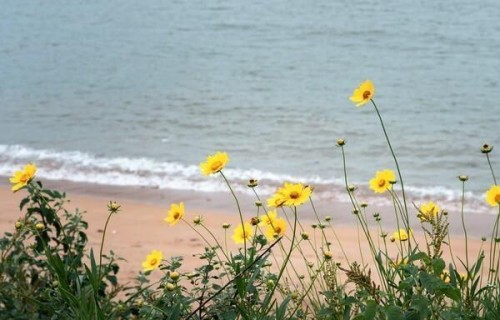 人老了才懂：你长不长寿，会活多久，其实冥冥之中早已注定！