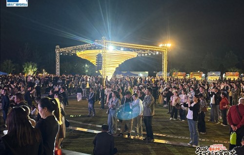 杜德伟云端空降！沙市码头夜场变万人KTV，《情人》大合唱引全场泪目 