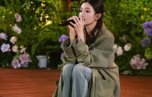 《乘风破浪的姐姐》节目组历年力捧的宁静、那英等为何频频不敌黑马选手？