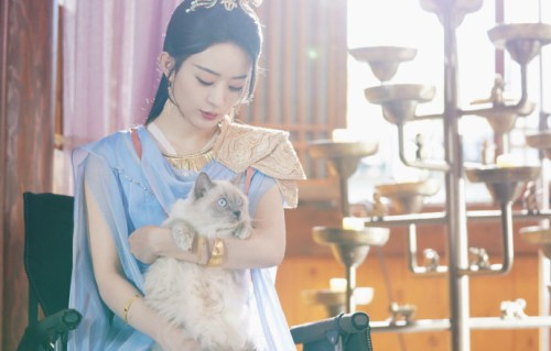 赵丽颖沈璃携猫营业照曝光