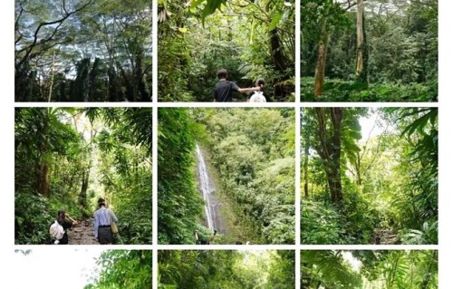 邓超携家人上山看瀑布，儿子等等身高超过孙俪，一家四口非常幸福