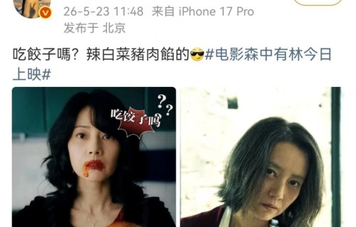 1.5亿成本，《森中有林》票房扑街，陈砺志张一白亏到怀疑人生