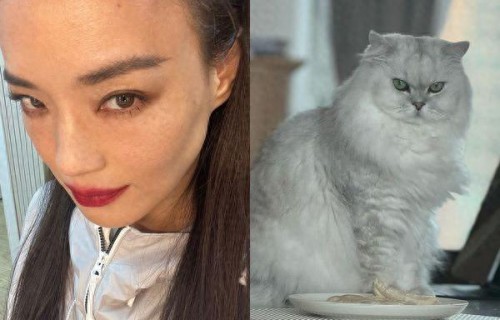 舒淇被猫瞪! 煮好鸡胸肉放桌上「它不吃不闻」…影后:容易吗我|不吃不闻|影后|模特|爱猫|禽肉|肉肉|舒淇|鸡肉|鸡胸