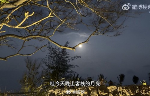 沈月《亲爱的客栈》收官vlog记录暖心瞬间