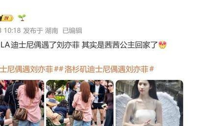 刘亦菲迪士尼被偶遇，皮肤白到会发光，网友笑称：公主回家了|迪士尼公主|肌肤|遮阳帽|反光板|回娘家