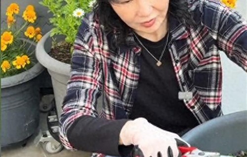 61岁张曼玉近况：定居香港状态佳，在豪宅里种菜，离婚24年无儿女