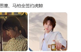 马柏全签约虎鲸|哇塞