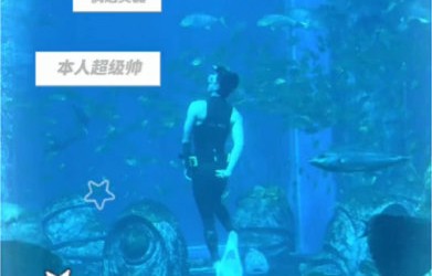 吴磊水族馆化身人鱼王子惊喜表演，背后竟是综艺录制圆梦之旅