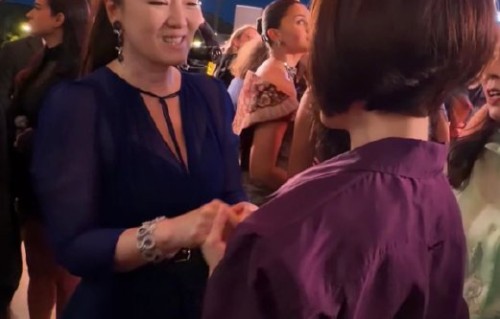 巩俐和鲁豫在戛纳电影节相遇的具体细节是怎样的？