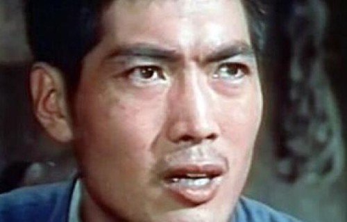 姜黎黎(中国内地女演员)