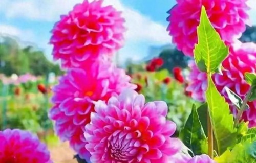 经历三次离婚，我明白了：所有夫妻关系的破裂，都始于这三个错误