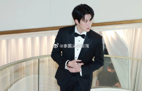吴翊歌对首次登上戛纳红毯的感受和未来的演艺规划是什么？